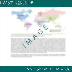 グローバルリサーチ調査レポートのイメージ